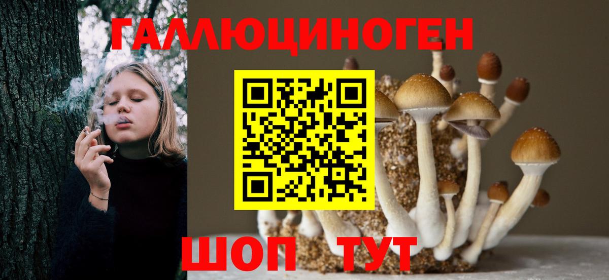 Галлюциногенные грибы Psilocybine cubensis  Вход с VPN  Псилоцибиновые грибы GOLDEN TEACHER  магазин    Сунжа 